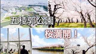 桜を見に行ってきました！2025.04.28
