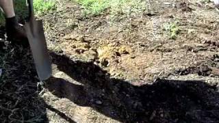 Blog 4 - Dig a Better, Easier Trench