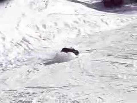 Edwards the Eagle Gone Wrong