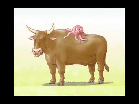 Hand in Hand Starter Unit 9 Phonics Story - Oo Pp Qq