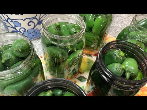 Pickled Jalapeños! No pressure canning necessary!