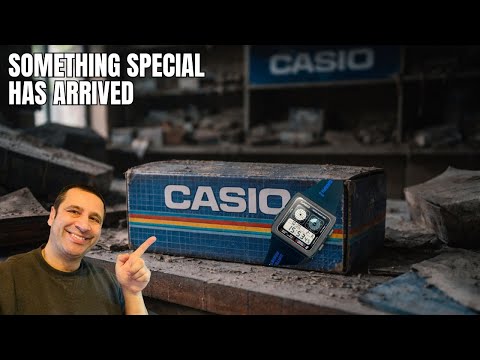 Special casio have arrived - and they are all mint