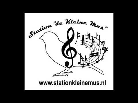 The eveningstars   Oh wat een mooie tijd