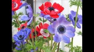 Leann rimes - some say love it&#39;s a river