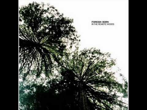 foreign born - in the remote woods