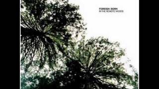 foreign born - in the remote woods