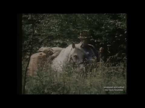 Jack Hargreaves - Out of Town - original theme music