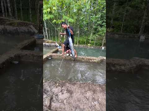 MANG UNI DAPAT IKAN BESAR PAMER KE DE IJA