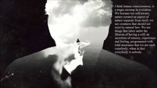 Kingdom of Heaven - The 13th Floor Elevators (True Detective) (lyrics)