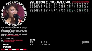 231204