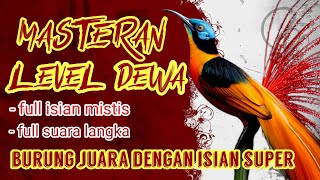 Download lagu MASTERAN LEVEL DEWA BIKIN BURUNG FIGHTER  GACOR MAKSIMAL #masteranburung #masteranmuraibatu mp3 Download lagu MASTERAN LEVEL DEWA BIKIN BURUNG FIGHTER  GACOR MAKSIMAL #masteranburung #masteranmuraibatu mp3