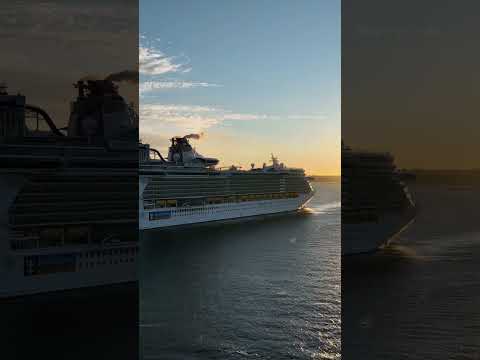 Thumbnail for Liberty of the Seas sunrise arrival #royalcaribbean #libertyoftheseas #sunrise #cruise #travel #nyc