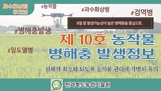 농작물 병해충 발생정보 10호 (2022.08.04~2022.08.17)