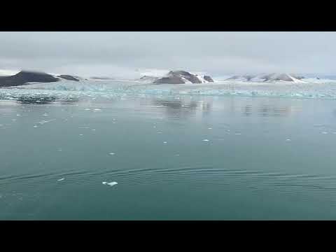 2023 PONANT夏古號 北極90度 浮冰北極熊21日