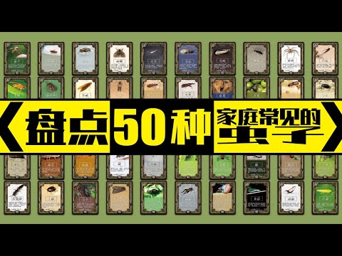 家裡會出現的蟲