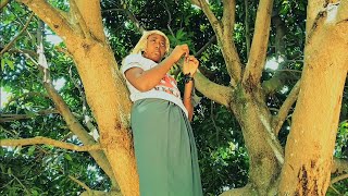 Download lagu WRONG HEART Vj emmy  mp3