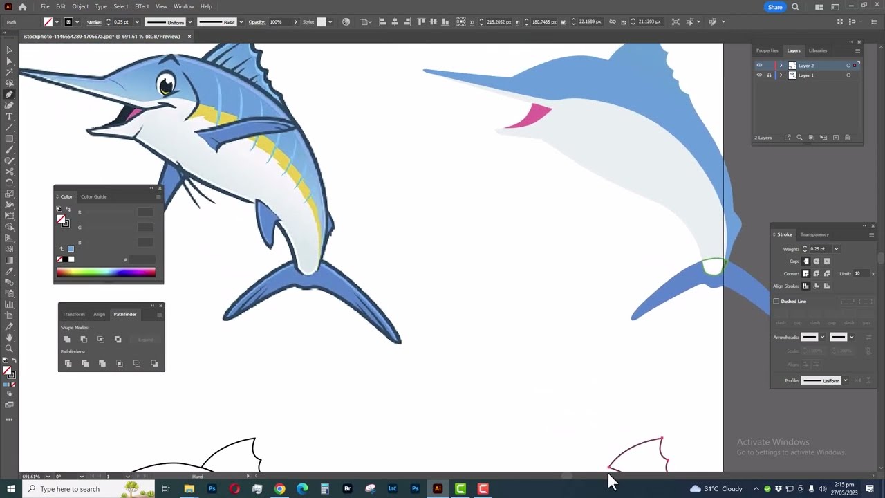 Best Raster to Vector Conversion Part-1 in Clipping Path Studiopro