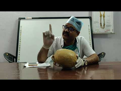 Temporal n Infra Temporal fossa