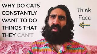 Permission by Amer Chadha Patel video