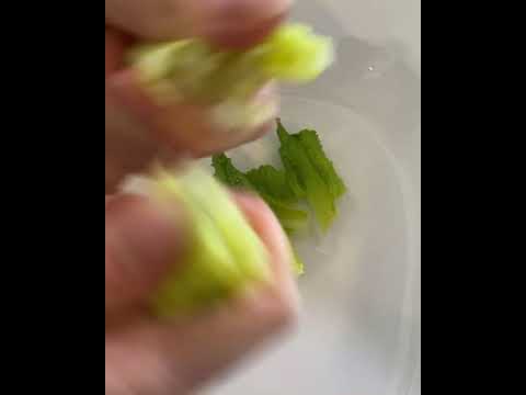 Ultimate Greek Salad