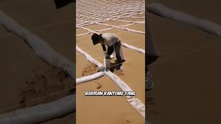 Download lagu Bringing the Barren Desert Back to Life mp3