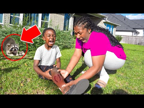 Unser Sohn Kasen wurde von einem Waschbären gebissen! *ER SCHREITET*