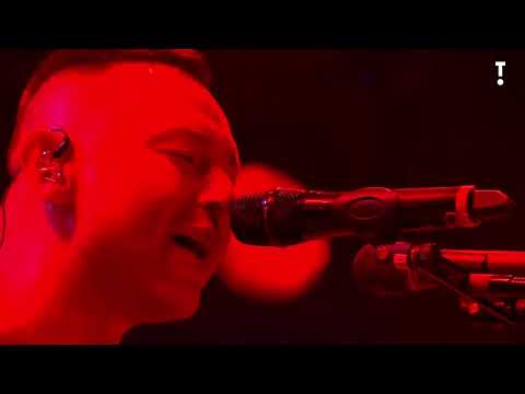 Звери на фестивале 'Таврида. Арт' Судак, 02.08.2025