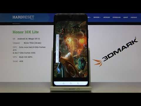 Honor 10X Lite - Wild Life Extreme TEST