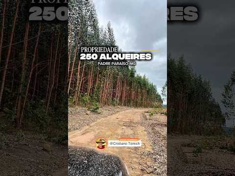 EXCELENTE PROPRIEDADE 250 ALQUEIRES REGIÃO DE PADRE PARAÍSO-MG R$ 12 MILHÕES #rural #roça #agro