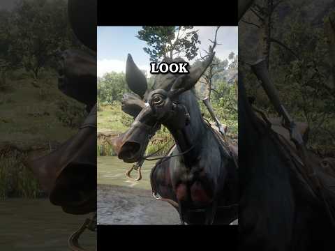 Don’t Leave Your Horse At Butchers Creek 😬 #gaming