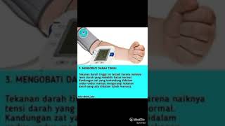 Download lagu manfaat undur undur mp3