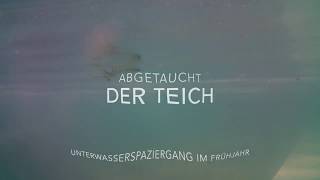re-natur  - Es lebt im Schwimmteich