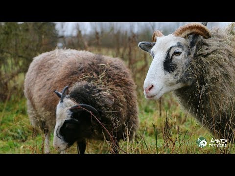 Willkommen Jule und Lilla