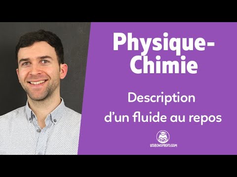 Description of a fluid at rest - Physics-Chemistry - 1st - Les Bons Profs