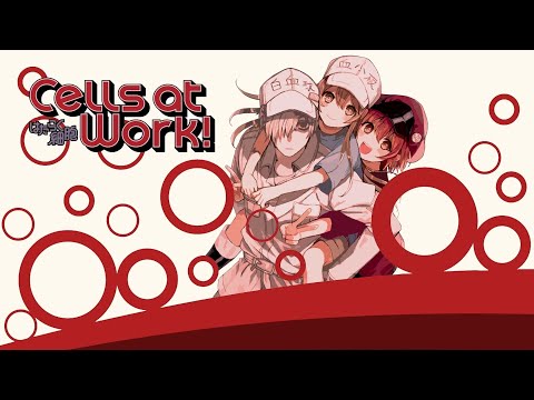Cells at Work! ~season 1~ by MAYUKO & Kenichiro Suehiro