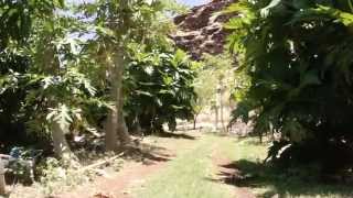 preview picture of video 'Waianae Coast Comprehensive Health Center Trail'
