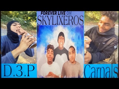 Stxmpz X Xfrmdacity X BigGwuapo - Snow ❄️ White (prod.BigGwuapo)