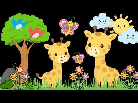 Baby Sensory Video with High Contrast for Newborns |Sensory Video for Babies with Calming Music