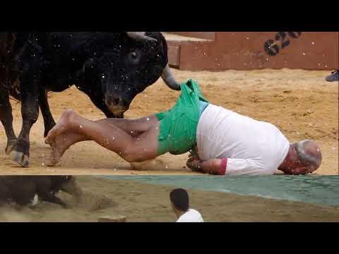 Bous a la Mar - Bulls at the Sea Denia, Alicante