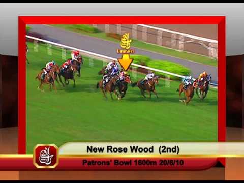 Emirates Singapore Derby 2010 Contenders (New Rose Wood)