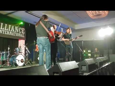 MOLSKY'S MOUNTAIN DRIFTERS - LET ME FALL