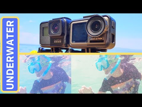 GoPro Hero 7 Black vs DJI Osmo Action Underwater: Sea and Pool Performance Comparison