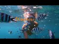 Discovering The Best Of Fiji Priceless ​