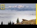 Marmots of Olympic National Park | America's National Parks