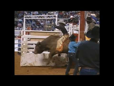 Gold Dust bucks Philip Elkins - 94 PBR Irving