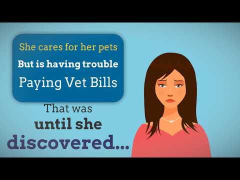 Best Flea Treatment For Dogs And Cats