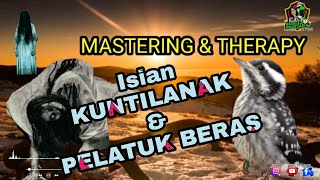 Download lagu Masteran isian KUNTILANAK SAMBUNG PELATUK BERAS SADIIS cocok buat isian cucak ijo,dll mp3