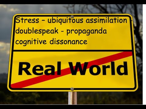 Stress -  ubiquitous assimilation - doublespeak - cognitive dissonance - proganga