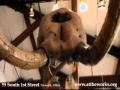 The Works 2010 Time Warner Commercial Wmv