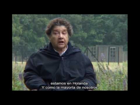 Betty Meir relata sobre su trabajo como enfermera en el campo de Westerbork